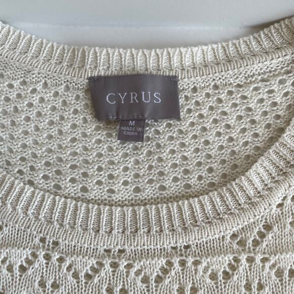 Cyrus Cream Crochet Knit Sweater Pullover Long Sleeve Size M Boho - Picture 4 of 7